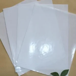 Silicone Paper