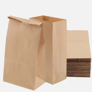 Sack Kraft (50–120 GSM)